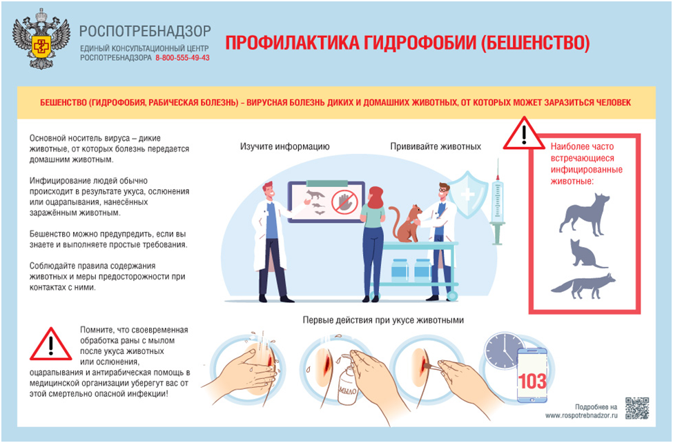 Организация охраны здоровья учеников.