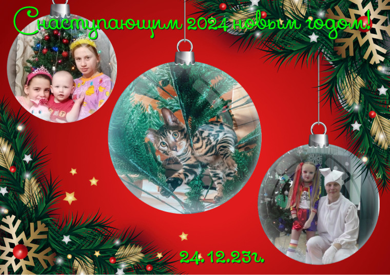 Финал фотоконкурса «Самое смешное новогоднее фото».